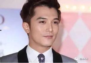 娱乐圈男星理想型,他们的理想型女神画像